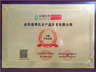 立信示范企业